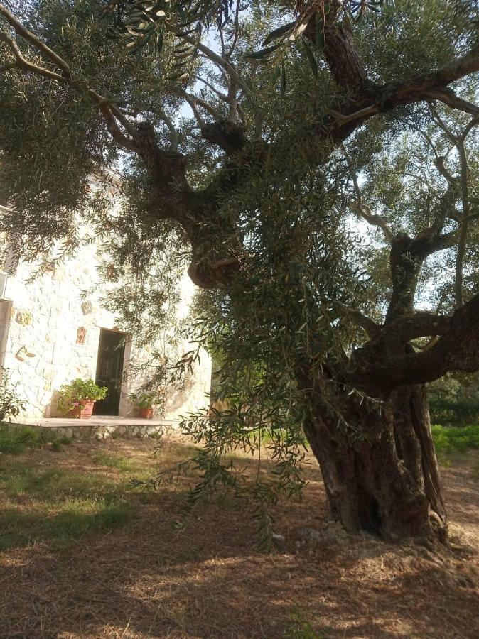 Olive Trees Vila Tragaki Exterior foto