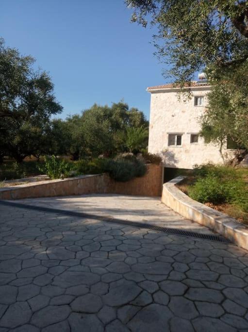 Olive Trees Vila Tragaki Exterior foto